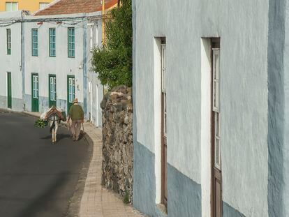 Un campesino en El Mocanal, en El Hierro.