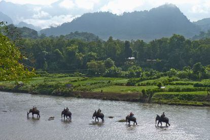 El gran río es la esencia de Laos y navegar por él la mejor forma de descubrir el país. La ruta más popular conecta Luang Prabang con Huay Xai (el acceso al Triángulo de Oro), pasando por Pak Beng.