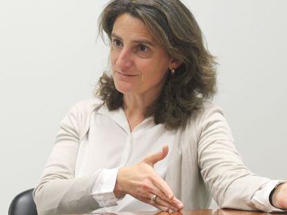 Teresa Ribera, directora del Instituto de Desarrollo Sostenible y Relaciones Internacionales (Iddri)