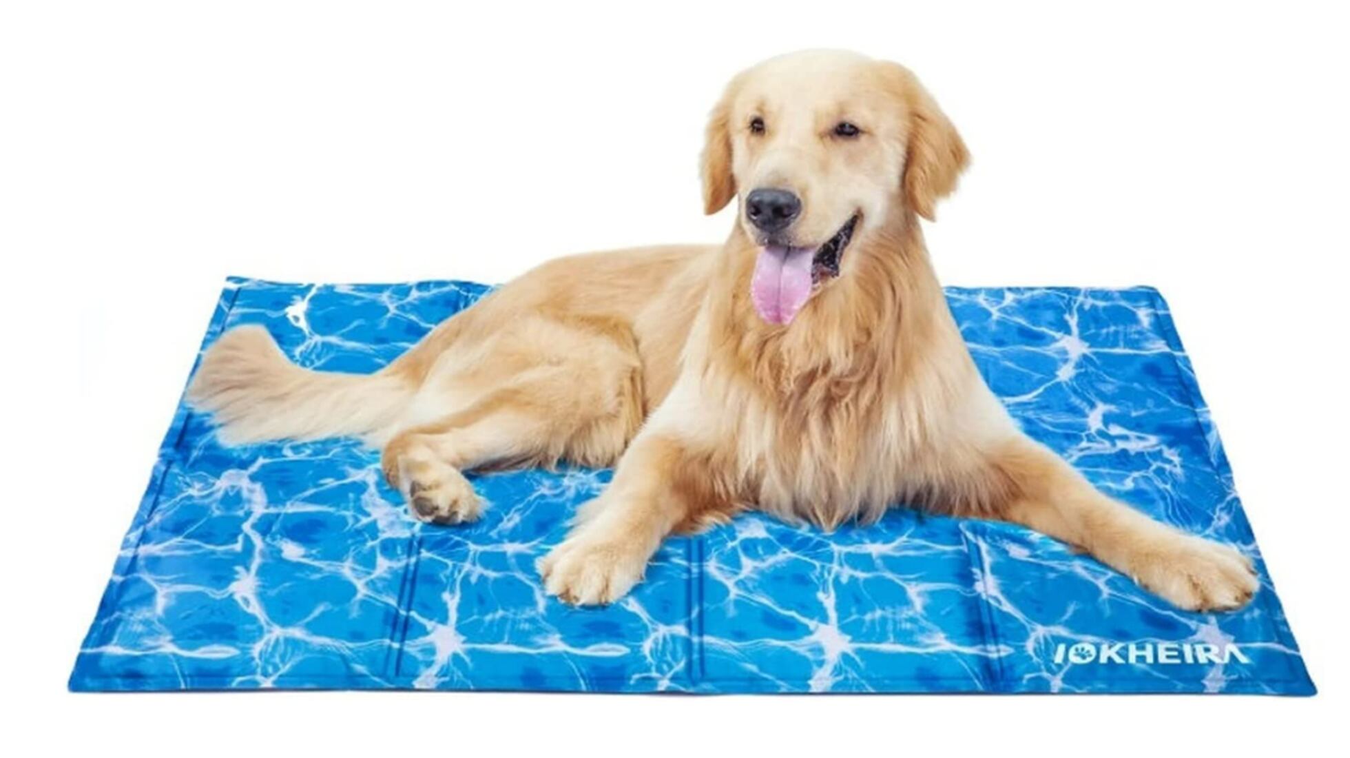 Las mejores alfombrillas refrescantes para mascotas Estilo de vida