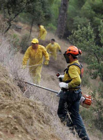 Agentes forestales limpian el monte en San Martín de Valdeiglesias.