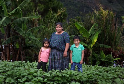 Irma Alesia, con sus hijos, en el huerto familiar de frijoles en Tamahú, Guatemala, en febrero. 