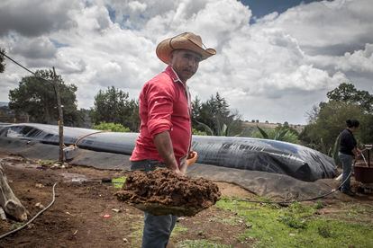 Emprendedores sustentables México