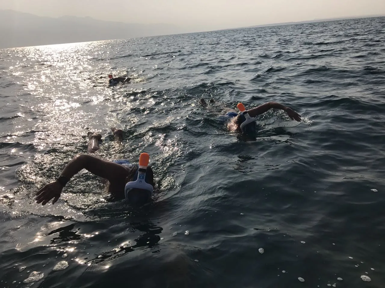 Nadadores cruzando el mar Muerto.