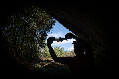 El ecoepidemiólogo Jordi Serra-Cobo, en una cueva de la Noguera (Lleida), estudia la transmisión de virus entre murciélagos y humanos