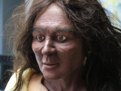 Aproximación facial de Elba, en su última versión con pigmentación oscura, según las conclusiones definitivas de los investigadores.