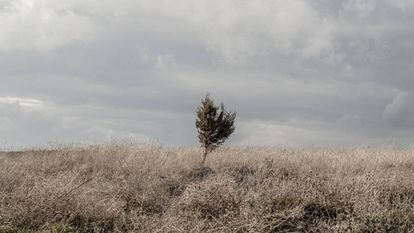 Alrededores de Iruecha (Soria).