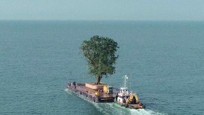 Una de las imágenes más poderosas de 'Taming the garden' es la de este árbol cruzando el mar Negro para ser transportado hacia un nuevo jardín.