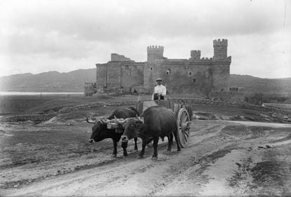 'Paisano con bueyes y castillo', en Manzanares el Real. 