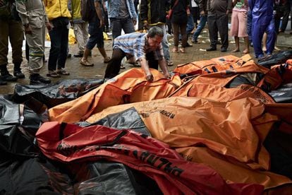 Un hombre mira entre las bolsas con los cuerpos de las víctimas del tsunami en una morgue improvisada en Carita (Indonesia). El 26 de diciembre de 2004, un tsunami desencadenado por un seísmo submarino de magnitud 9,3 frente a las costas de Sumatra, en Indonesia, causó la muerte de 220.000 personas de varios países del océano Índico, 168.000 de ellas en Indonesia.