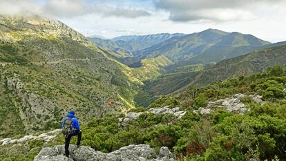 Paisaje del Parque Nacional de la Sierra de las Nieves.