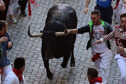 Un mozo agarra un cuerno de este toro a la entrada del Callejón.
