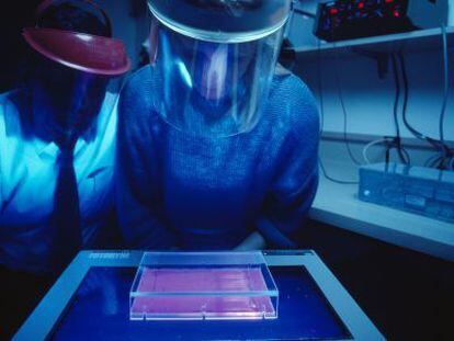 Investigadores de EE UU especializados en cáncer utilizan una luz ultravioleta para estudiar el ADN.
