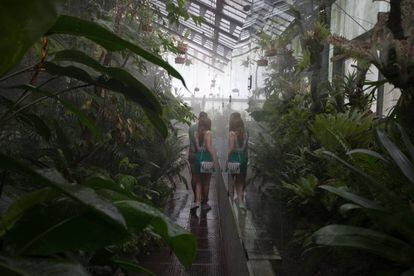Interior de uno de los invernaderos del Jardín Botánico.