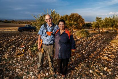 Jesús Vallas y Margarita Martínez, ya jubilados, trabajaban en sus olivos el miércoles por la tarde. "Ven para acá, morena", le dice él antes de posar para la foto. Llevar un bar es "mucha faena", afirma ella, que tuvo uno en el pueblo durante 42 años. Piden servicios. "El coche de línea antes pasaba dos veces por semana, ahora hay que llamarlo para que venga", explica él.