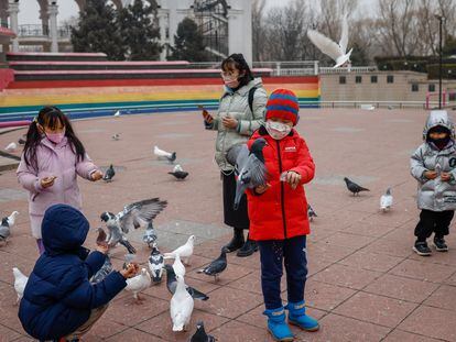 Palomas en una plaza de Pekín (China), el 11 de febrero.