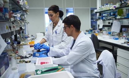 Pamplona, 22/05/2019 - Jóvenes investigan en el Centro de Investigación Médica Avanzado (CIMA) de Pamplona. Foto: Pablo Lasaosa
