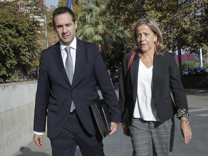 La tesorera del PP, Carmen Navarro, llega a declarar al juzgado de Instrucci&oacute;n 18 de Valencia.