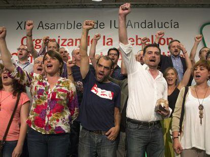 Clausura de la última asamblea andaluza de IU.