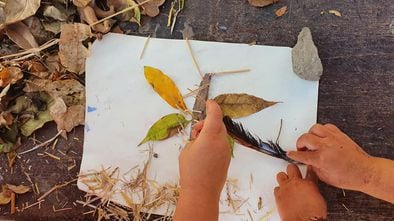 Un collage realizado con elementos naturales por unos niños de la escuela-bosque de Las Palmas de Gran Canaria.