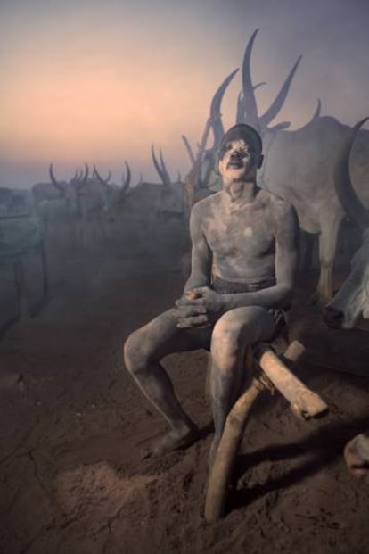 Joven mundari junto a sus vacas al atardecer, en uno de los 'cattle camp' que pueblan las islas del Nilo Blanco, Sudán del Sur.