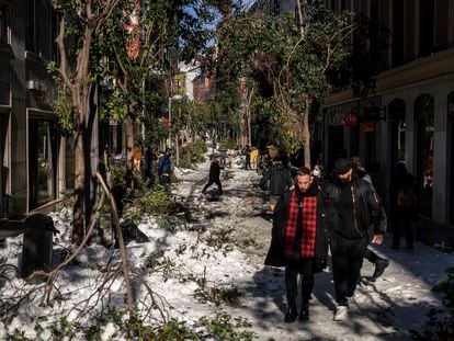Árboles caídos en la calle Fuencarral, este lunes en Madrid.