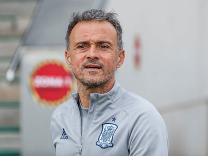 Luis Enrique, durante su etapa como seleccionador español.