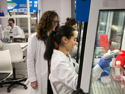 Varios estudiantes hacen pruebas en el laboratorio en la Facultad de Farmacia del CEU en Montepríncipe (Boadilla del Monte, Madrid).