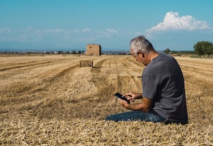 Senior farmer sitting on straw bale looking at mobile phone in field. Agriculture concept.