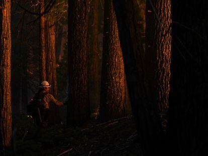 A firefighter watches a backfiring operation between the Mariposa Grove and the southern entrance station on the Washburn Fire in Yosemite National Park in Wawona, California, U.S. July 11, 2022.  REUTERS/Tracy Barbutes