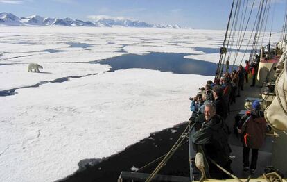 Avistamento de oso polar desde una de las expediciones.