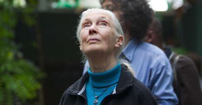 La primatóloga británica Jane Goodall en CosmoCaixa de Barcelona.