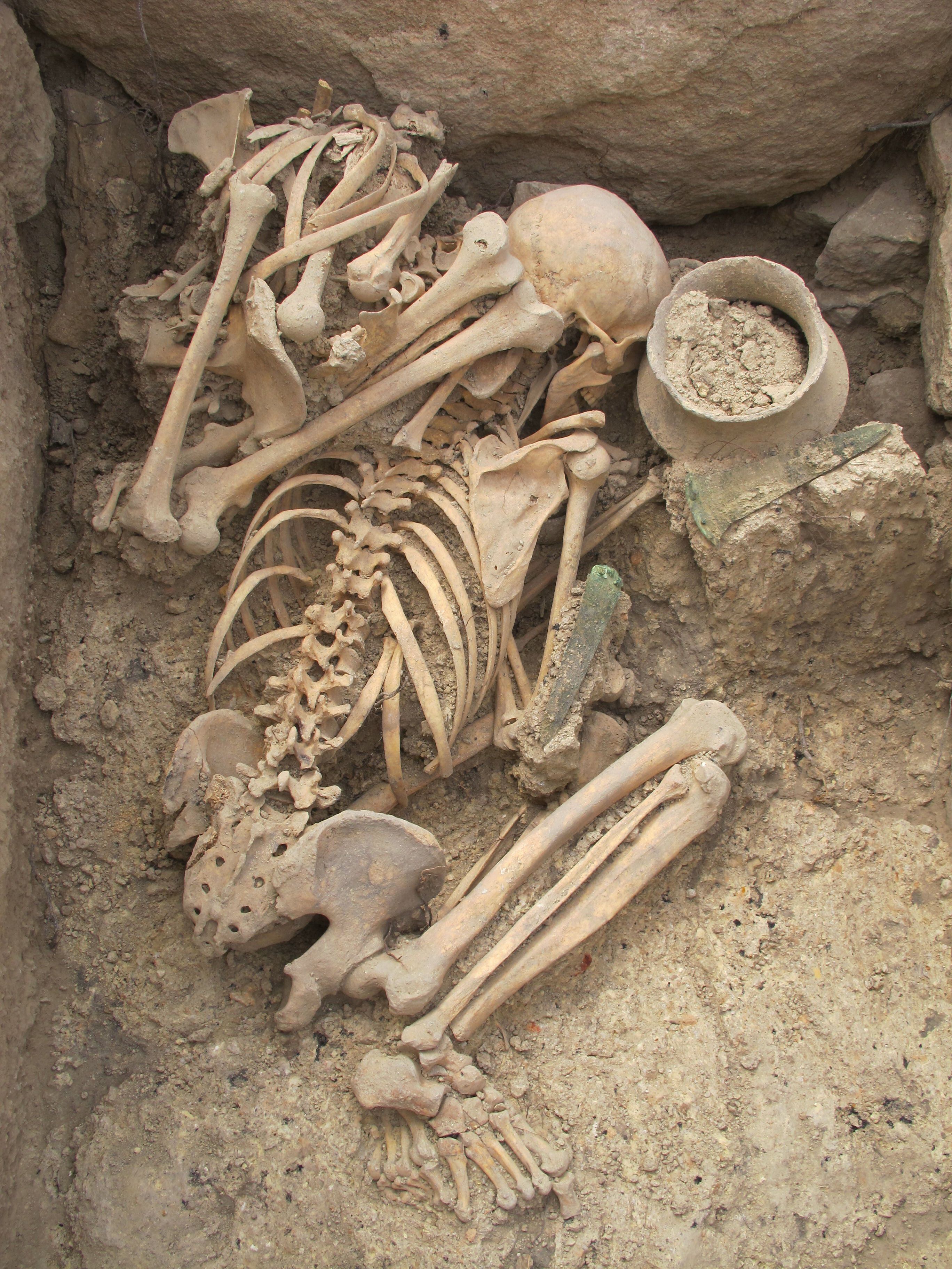 Tumba de un alabardero argárico enterrado con su pareja en La Almoloya.