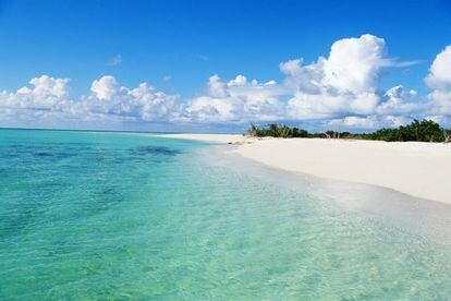 La playa de Grace Bay, en la isla de Providenciales de Turcas y Caicos, un archipiélago británico al norte del Caribe, ha sido coronada como la mejor playa del mundo en los premios Travellers' Choice de TripAdvisor, que votan los usuarios de la red social y central de reservas de viajes.