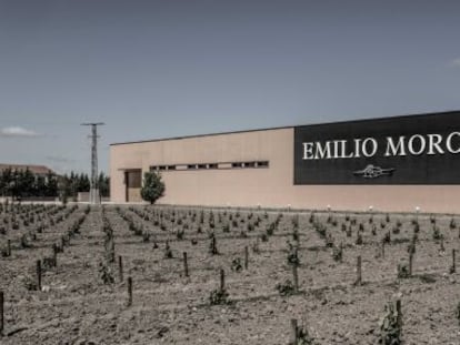 Vi&ntilde;edos de las Bodegas Emilio Moro.