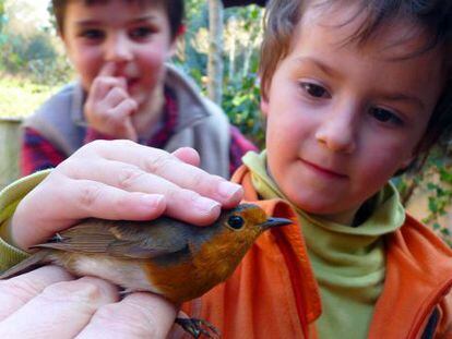 Ni&ntilde;os en un taller de anillamiento cient&iacute;fico de aves.