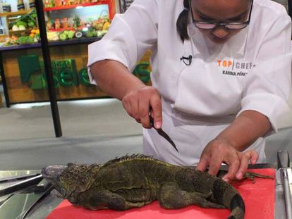 Una participante de Top Chef se dispone a cocinar una iguana el domingo.