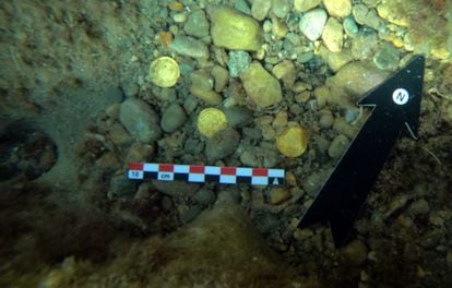 Algunas de las 53 monedas de oro halladas en el fondo marino de Xàbia.