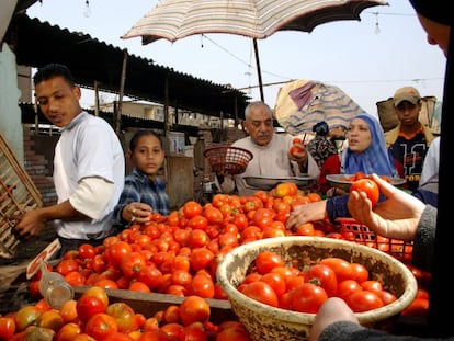 Un puesto de venta de tomates en El Cairo (Egipto).