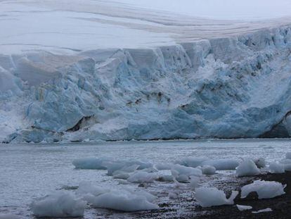 Salida al mar del glaciar Johnsons, en isla Livingston (Antártida).