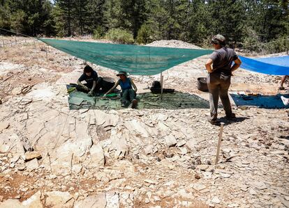 El trabajo comienza sobre las 9 de la mañana en una de las zonas de investigación activas en el yacimiento de Las Hoyas en Cuenca, la cata "Naranja". Las condiciones son duras. Bajo la pequeña sombra que proyecta un toldo atado, dos estudiantes pican la misma roca en la que se sientan.