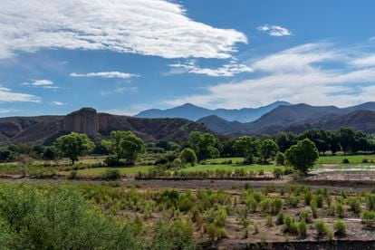 Sierra Madre Occidental, Sonora. Agosto de 2019