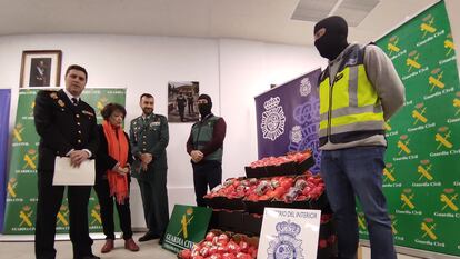 Hachís intervenido como falsos tomates en la Operación Califa Trucks, en presencia de las autoridades y los agentes de la Guardia Civil y la Policía Nacional.