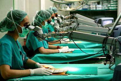 Trabajadoras del Centro de Cirugía de Mínima Invasión Jesús Usón de Cáceres.