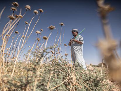 Mohammed Mayahi (39) es un ganadero de la provincia iraquí de Diyala. La crisis hídrica ha agotado el suministro de agua potable de su familia y ha matado el veinte por ciento de su rebaño de ovejas, su principal fuente de ingresos.