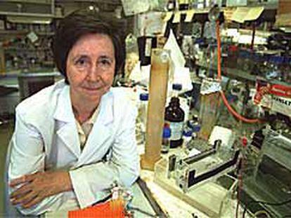 Margarita Salas, en el centro de Biología Molecular Severo Ochoa, que dirige, en la Universidad Autónoma de Madrid.