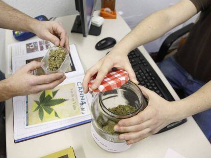 Dos consumidores en un club de cannabis de San Sebasti&aacute;n.