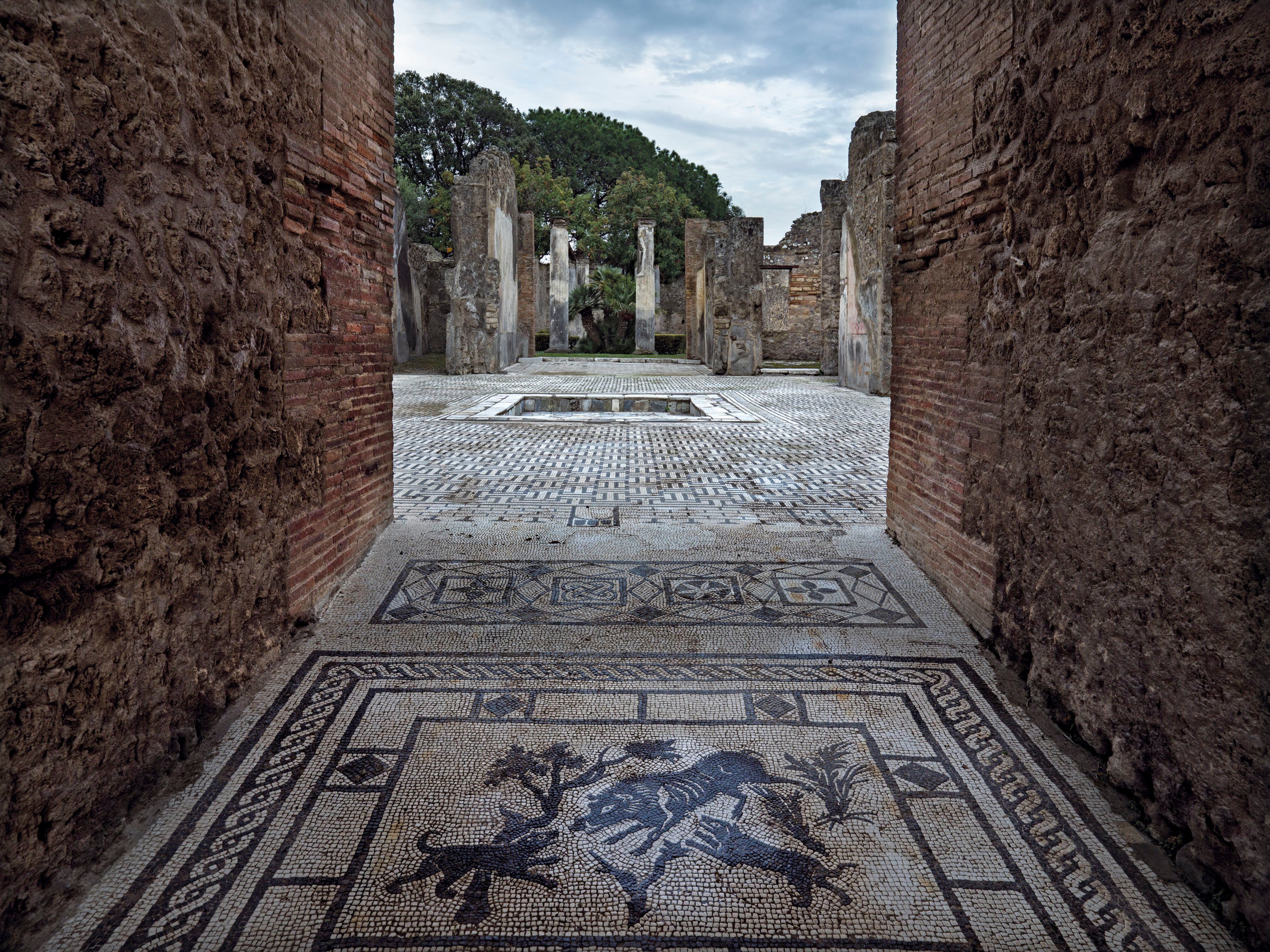 Se cree que la Casa del Jabalí perteneció a alguna familia notable, dada su proximidad al Foro. Su estructura arquitectónica se remonta a la época de la conversión de Pompeya en colonia romana en el 80 antes de Cristo.