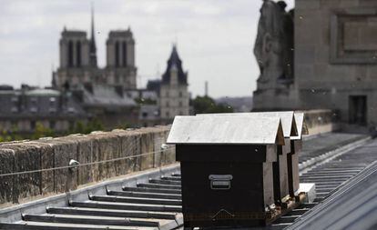 Colmenas en el techo de la Monnaie de París, con Notre Dame al fondo, en 2017.