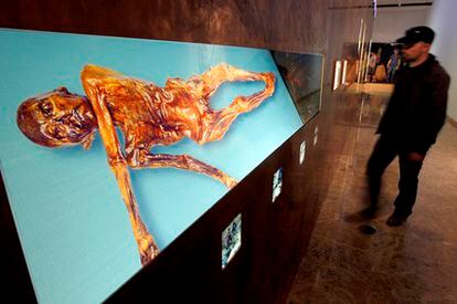 Imagen de Ötzi en la exposición del Museo de Prehistoria de Valencia.